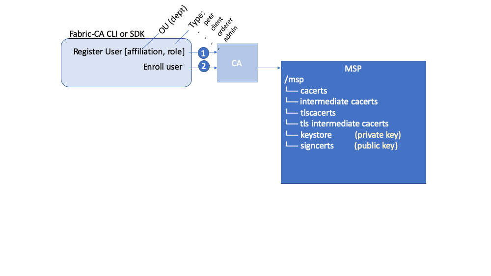 MSP1c